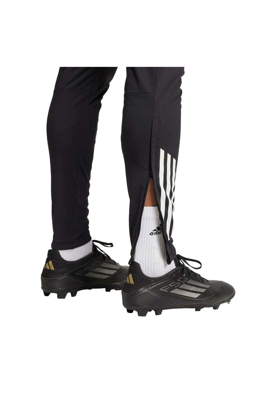 adidas Erkek   Eşofman Altı MUFC TR PNT JP3118