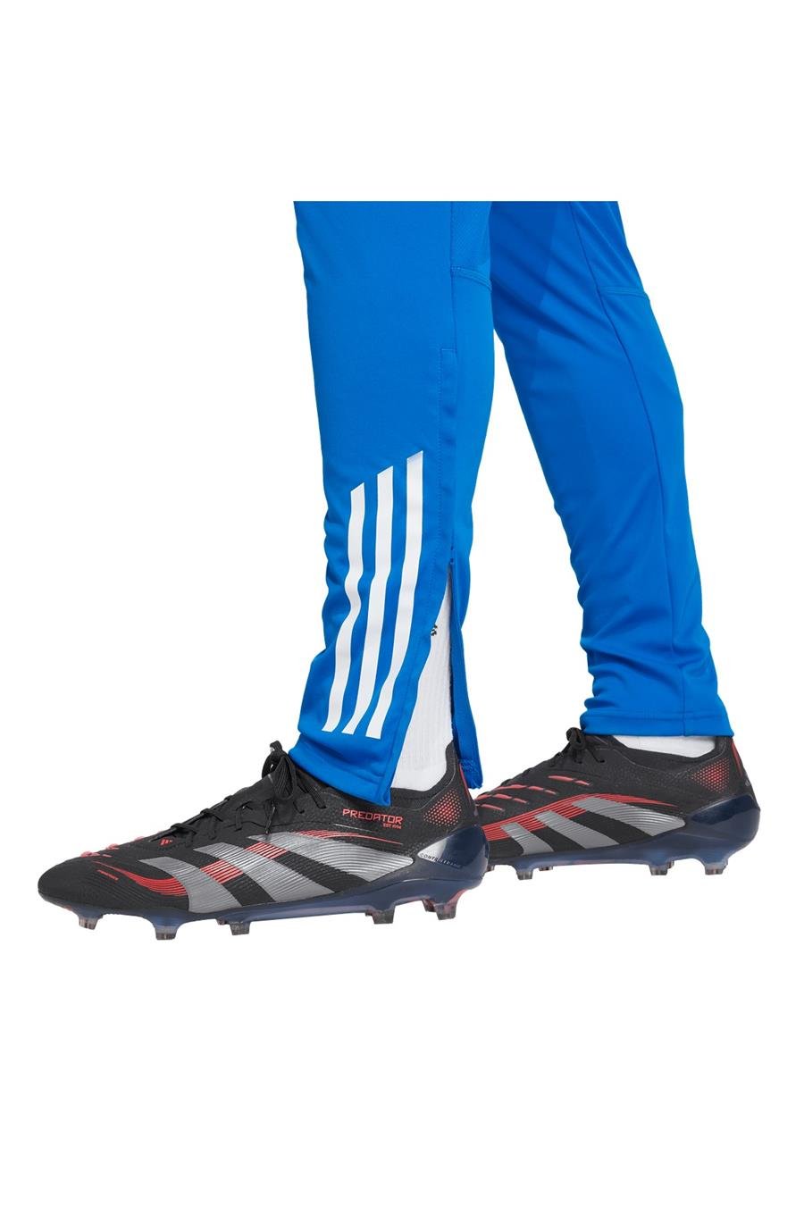 adidas Erkek   Eşofman Altı REAL EU TR PNT JP4028