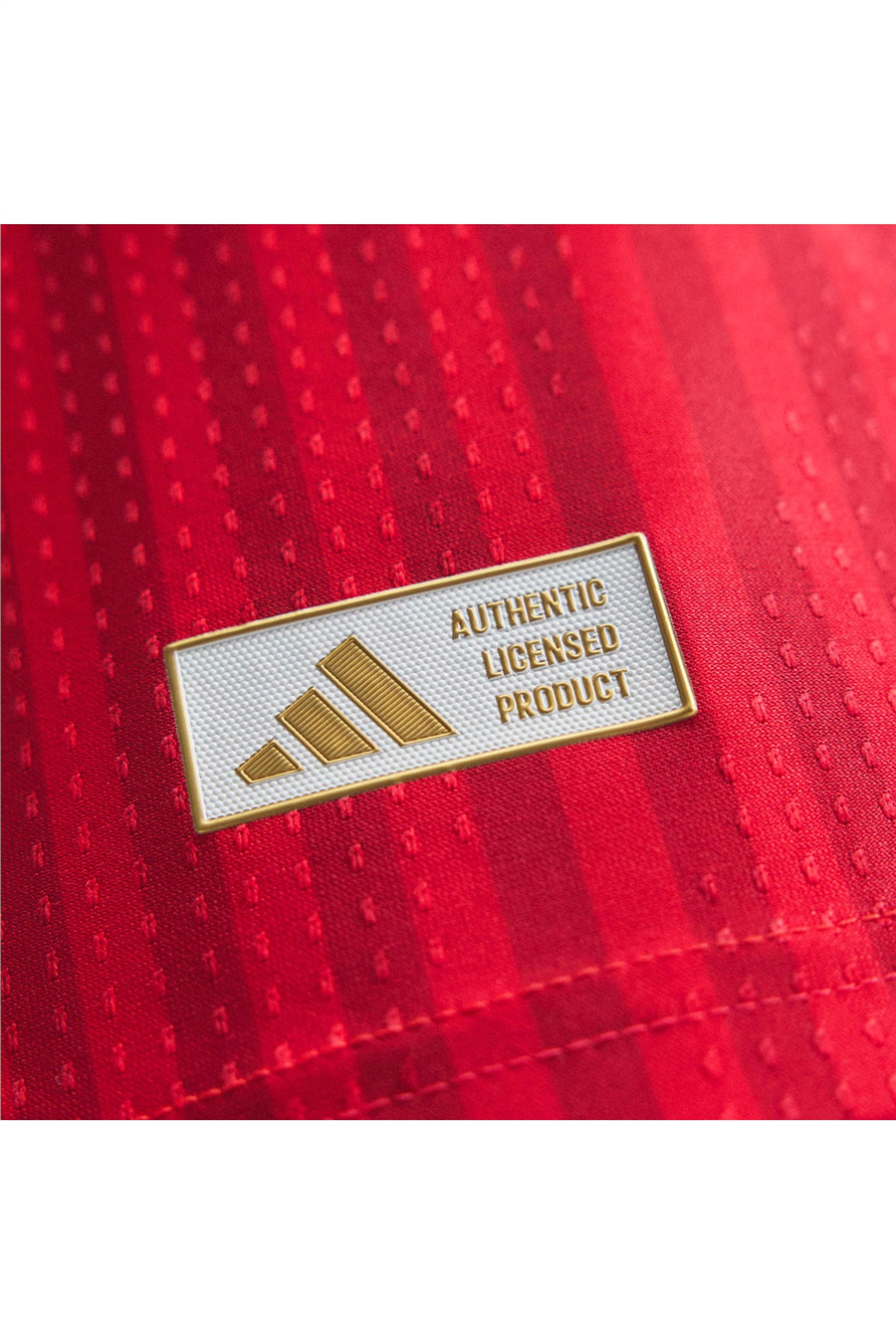 adidas Erkek Forma 