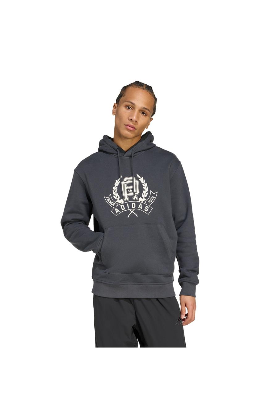 adidas  Erkek  Gri  Sweatshirt GRAPHIC LO HD JX8186