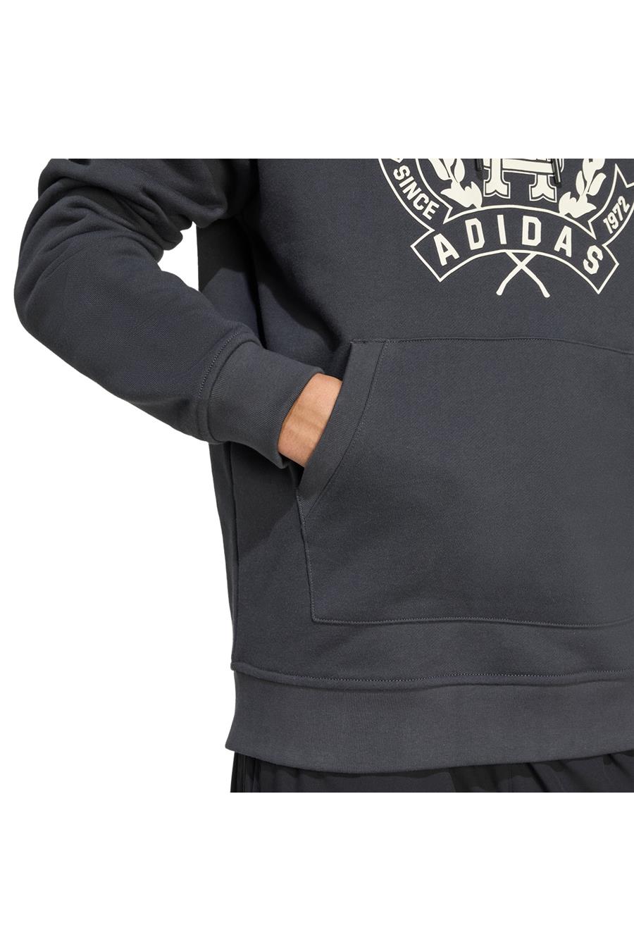 adidas  Erkek  Gri  Sweatshirt GRAPHIC LO HD JX8186