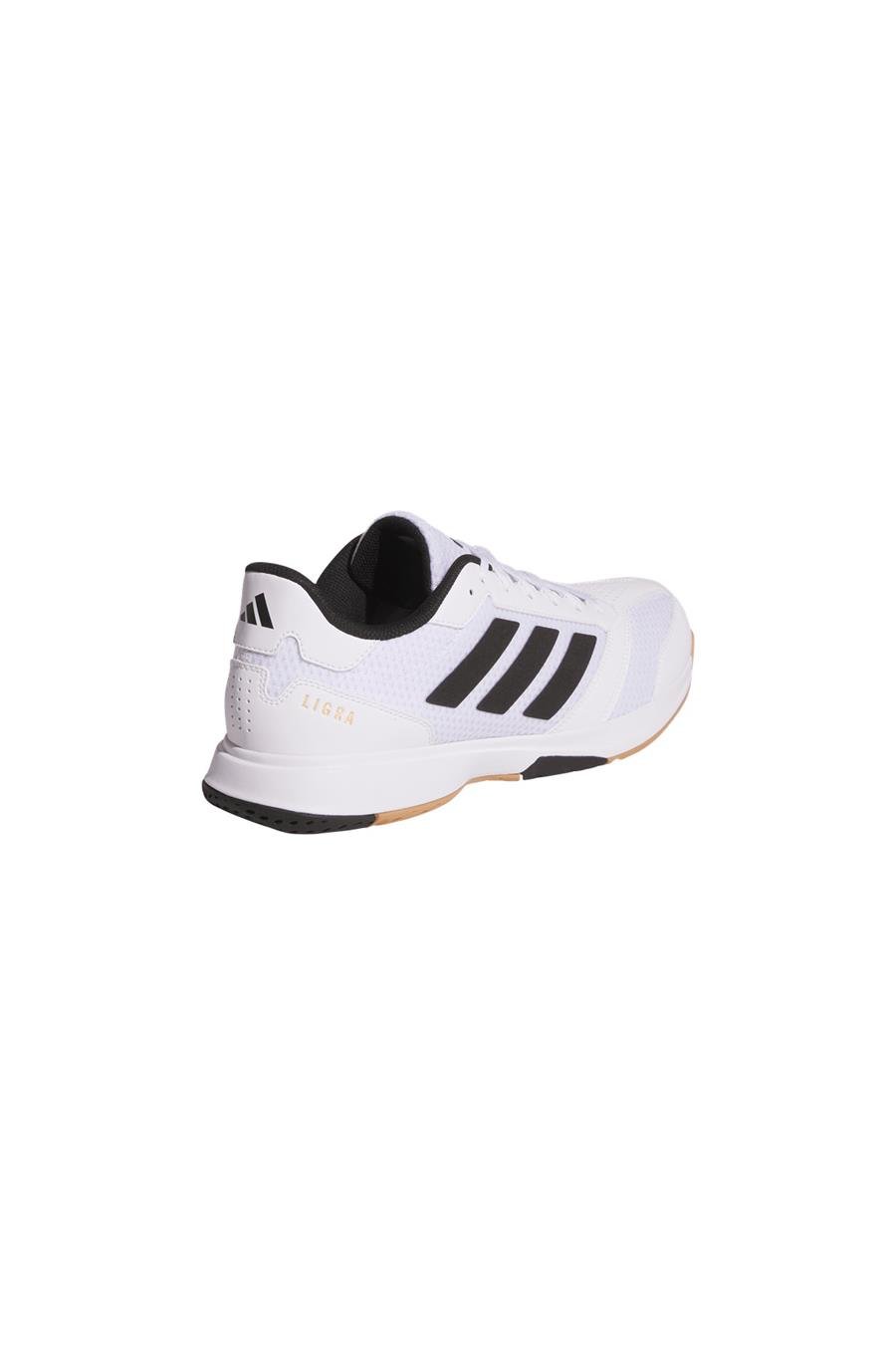 adidas Erkek Indoor Ayakkabı Ligra 8 M JI1505