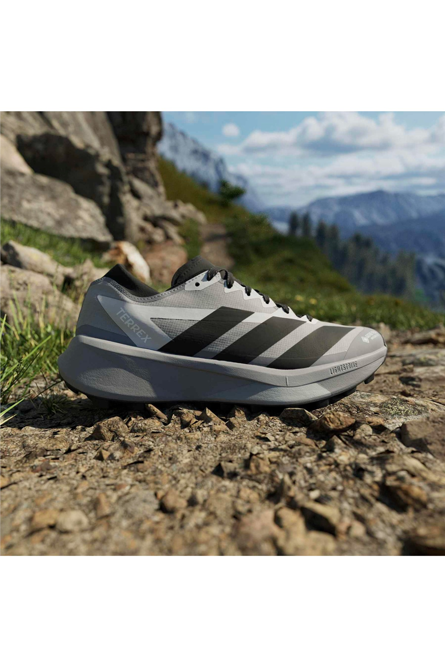 adidas Erkek Koşu Ayakkabısı TERREX AGRAVIC GTX 2 HQ5090