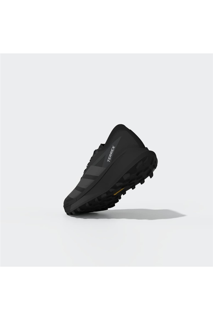 adidas Erkek Koşu Ayakkabısı TERREX AGRAVIC GTX 2 HQ5089
