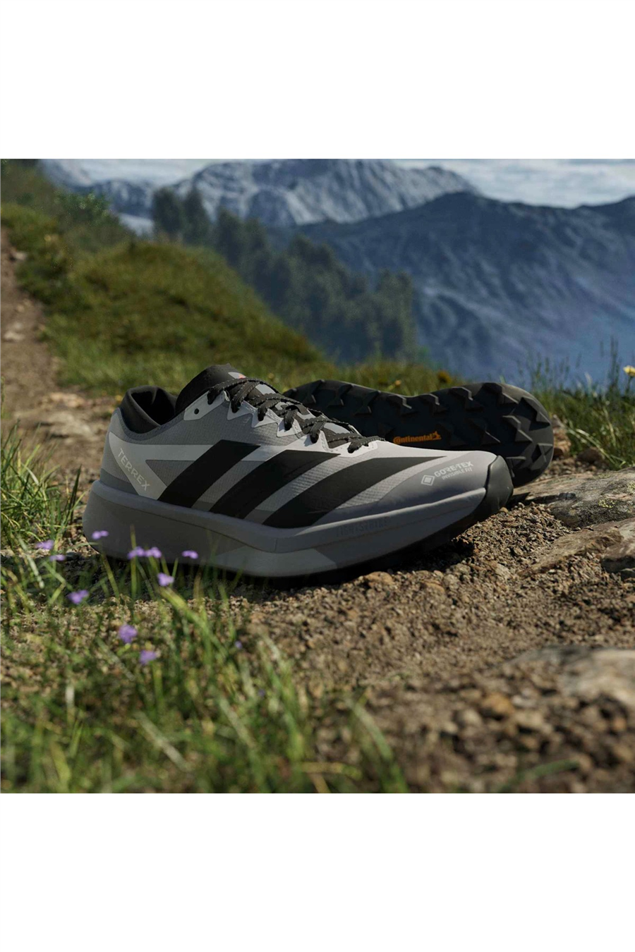 adidas Erkek Koşu Ayakkabısı TERREX AGRAVIC GTX 2 HQ5090