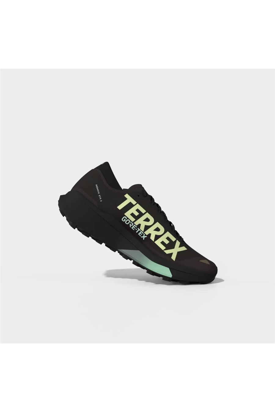adidas Erkek Koşu Ayakkabısı TERREX AGRAVIC GTX 2 HQ5088