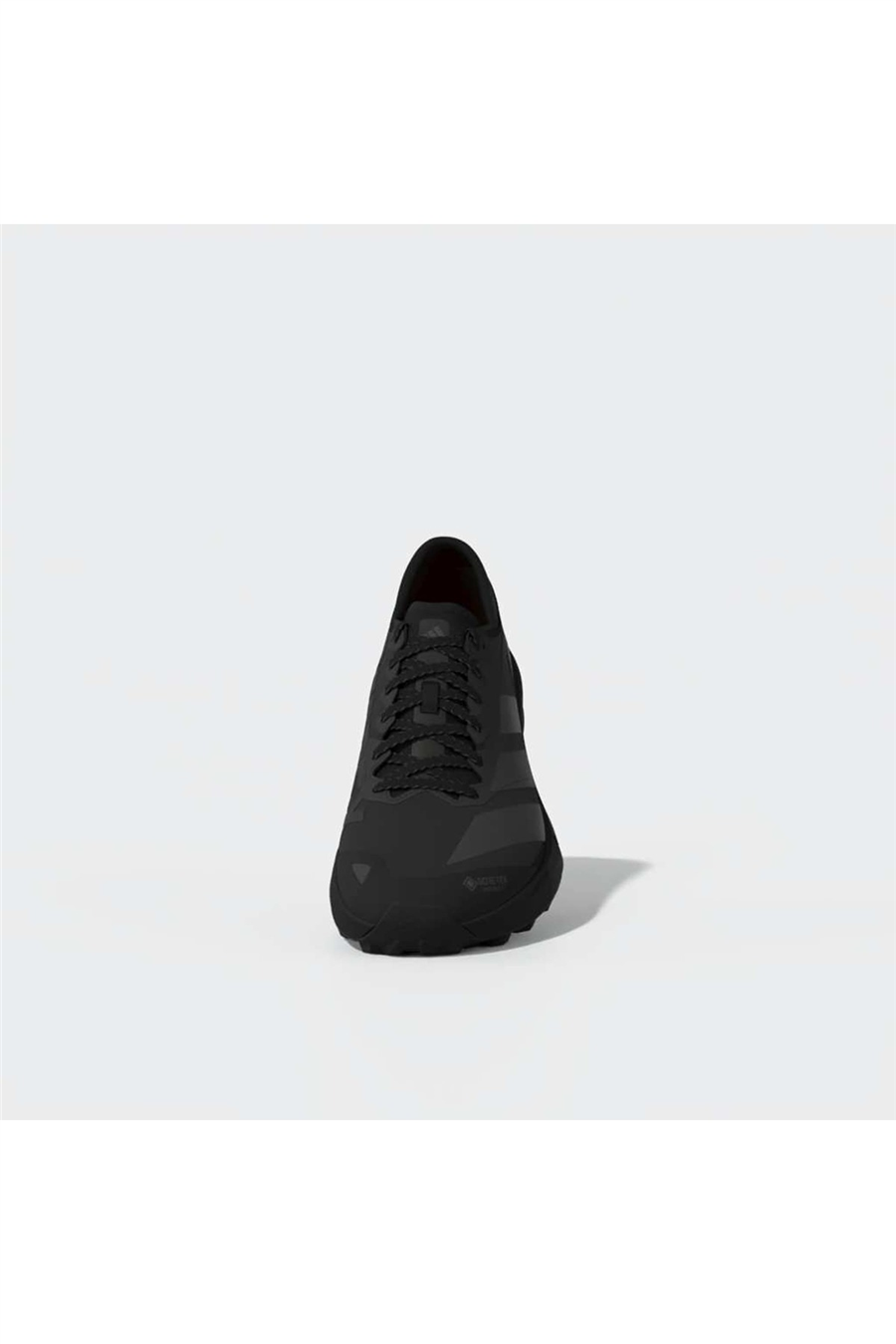 adidas Erkek Koşu Ayakkabısı TERREX AGRAVIC GTX 2 HQ5089