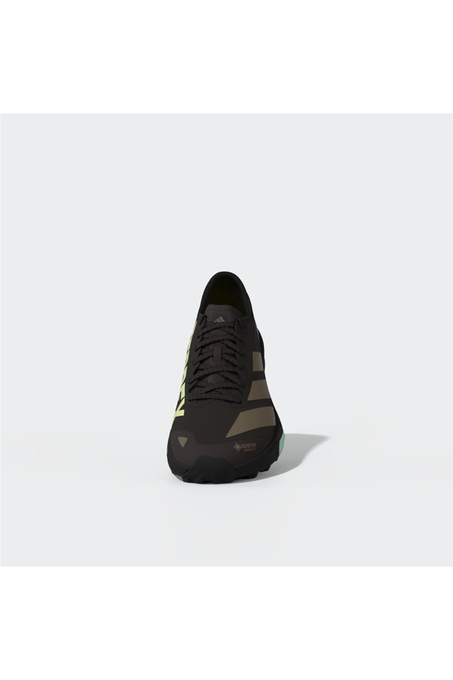 adidas Erkek Koşu Ayakkabısı TERREX AGRAVIC GTX 2 HQ5088