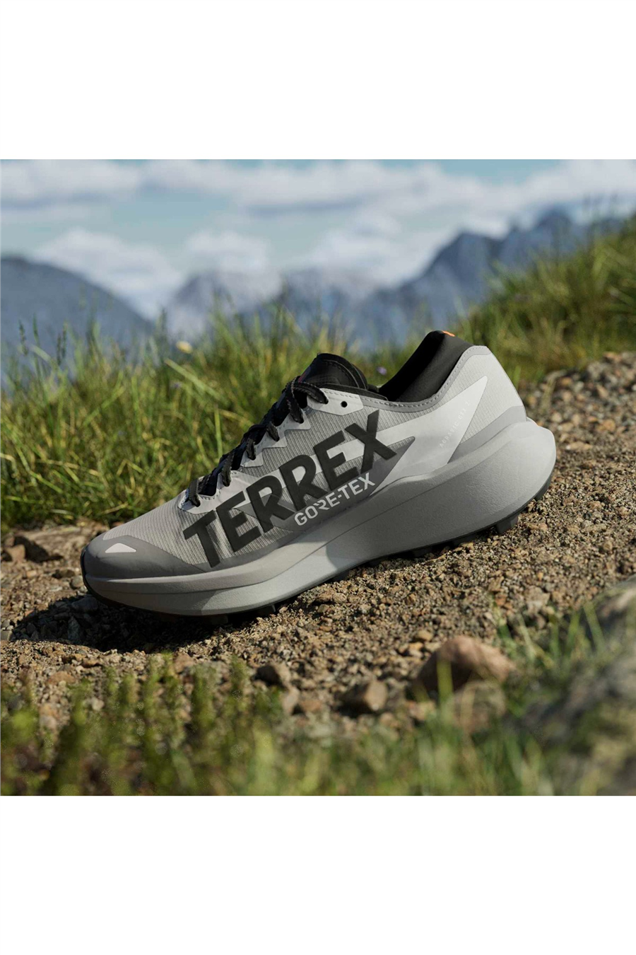 adidas Erkek Koşu Ayakkabısı TERREX AGRAVIC GTX 2 HQ5090