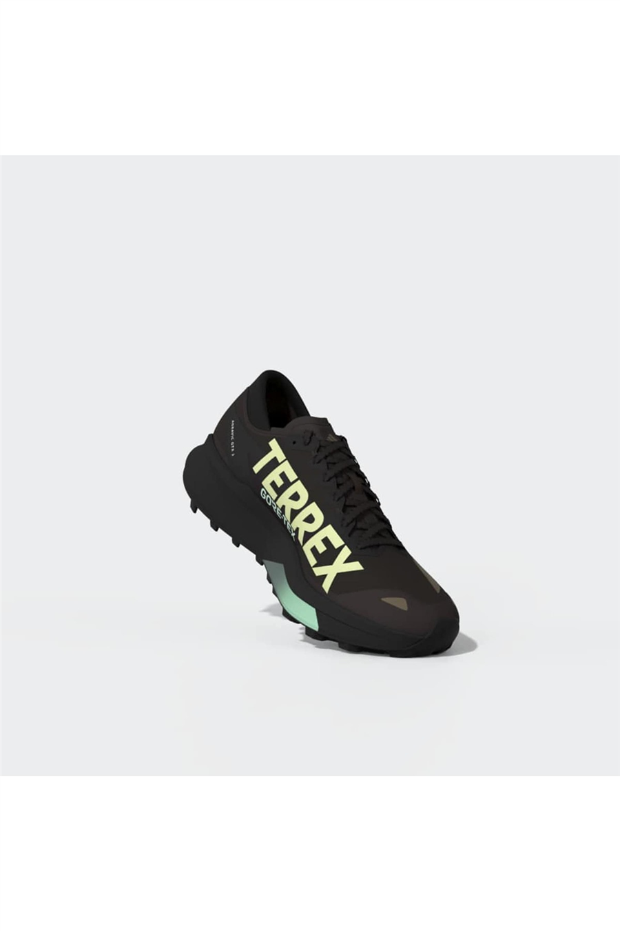 adidas Erkek Koşu Ayakkabısı TERREX AGRAVIC GTX 2 HQ5088