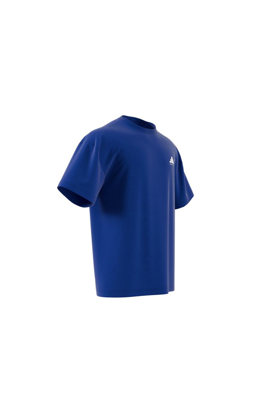 adidas Erkek  Mavi  GRAPHIC TEE (SHORT SLEEVE ADI BB GFX TEE JN7110