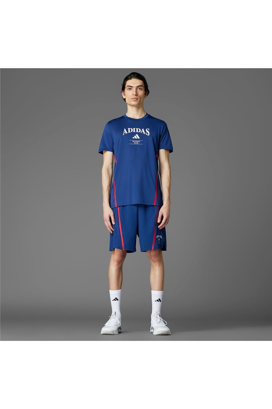 adidas Erkek  Mavi  T-shirt D4T HERITAGE TEE Mavi JI6353