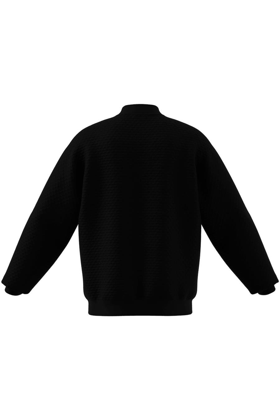 adidas Erkek  Siyah  Ceket XPL SWEAT JKT JD6645