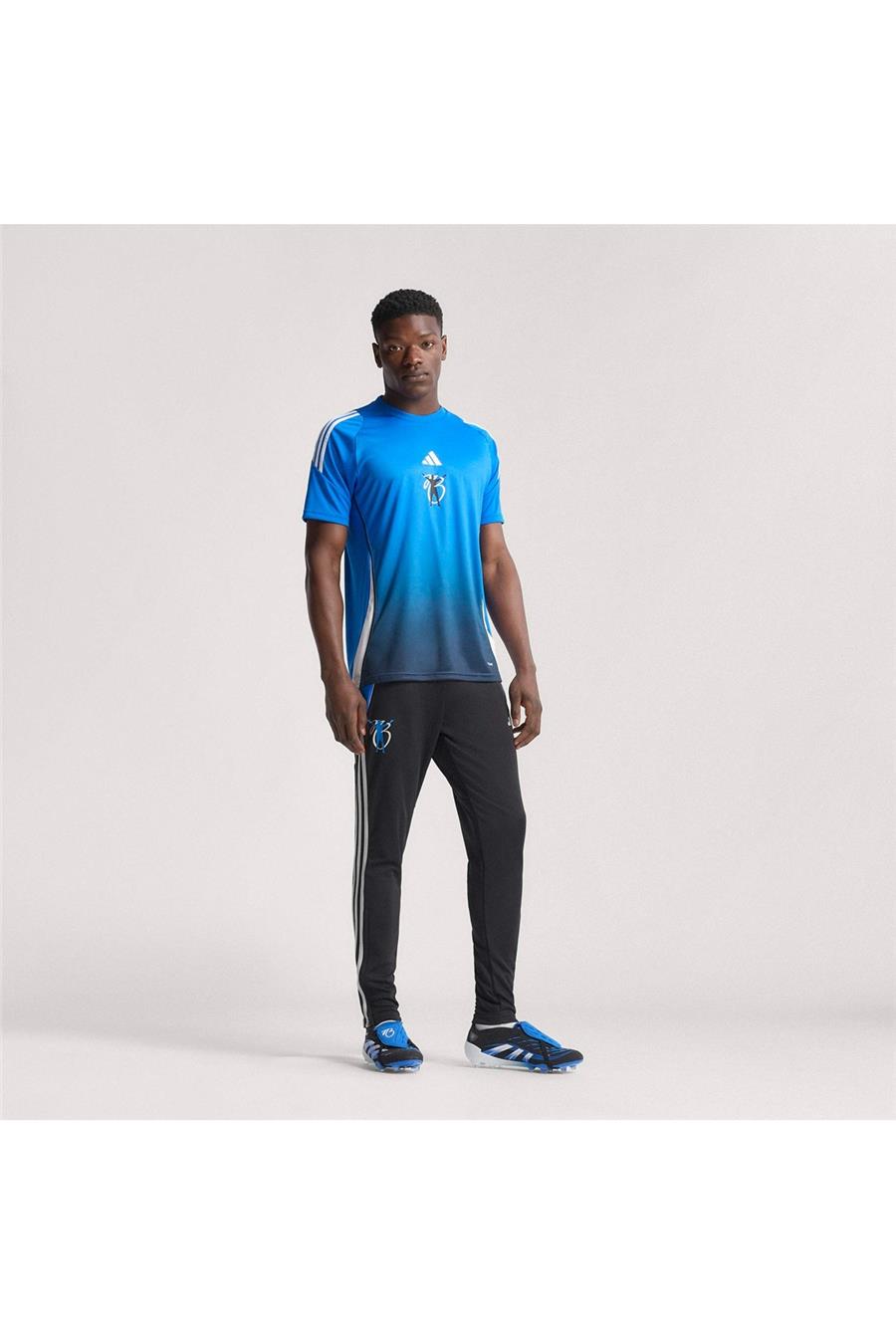 adidas Erkek  Siyah  Eşofman Altı JB TR PNT JX6302