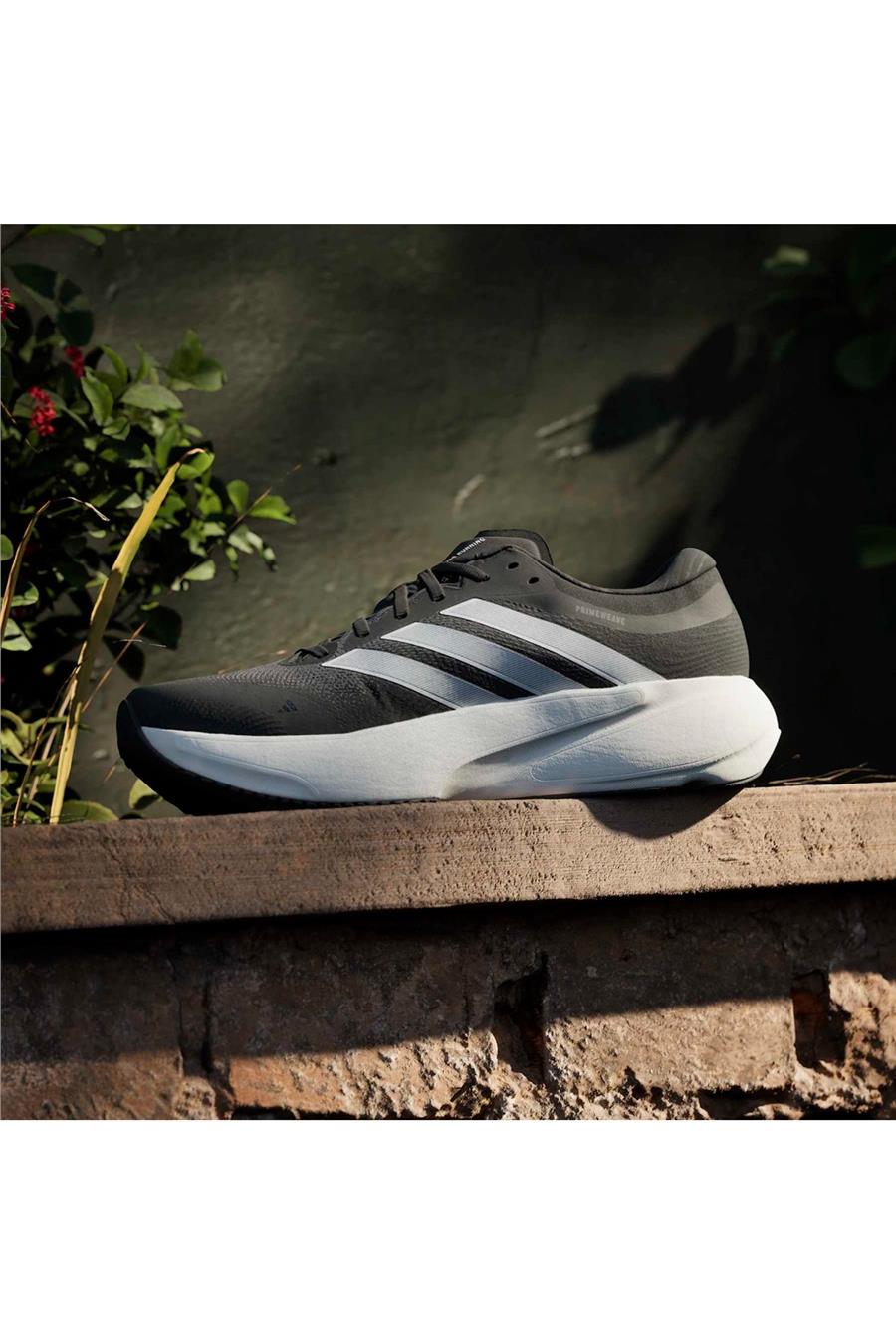 adidas Erkek  Siyah  Koşu Ayakkabısı SUPERNOVA RISE 3 M JQ8502