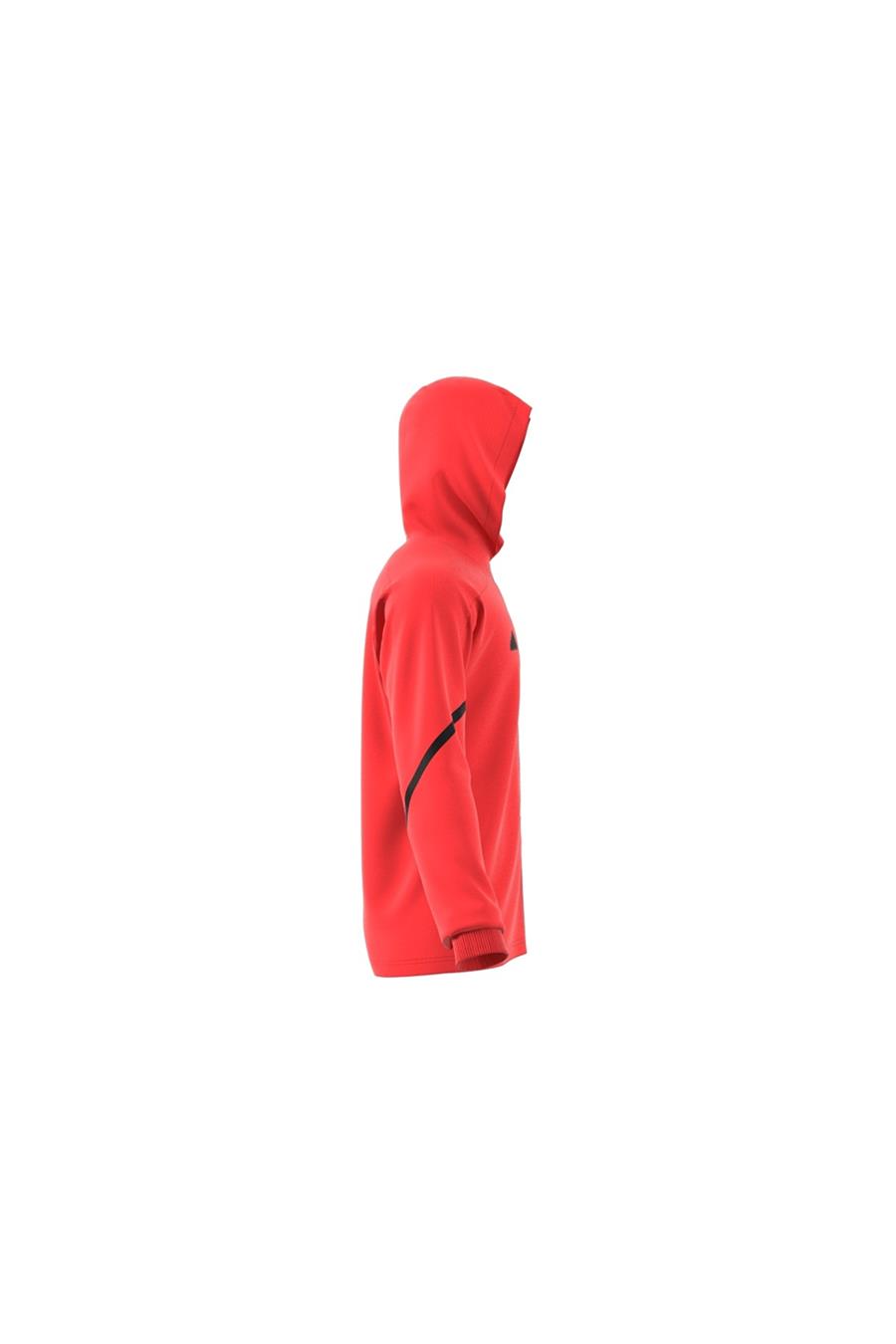 adidas Erkek Sweatshirt IC8050