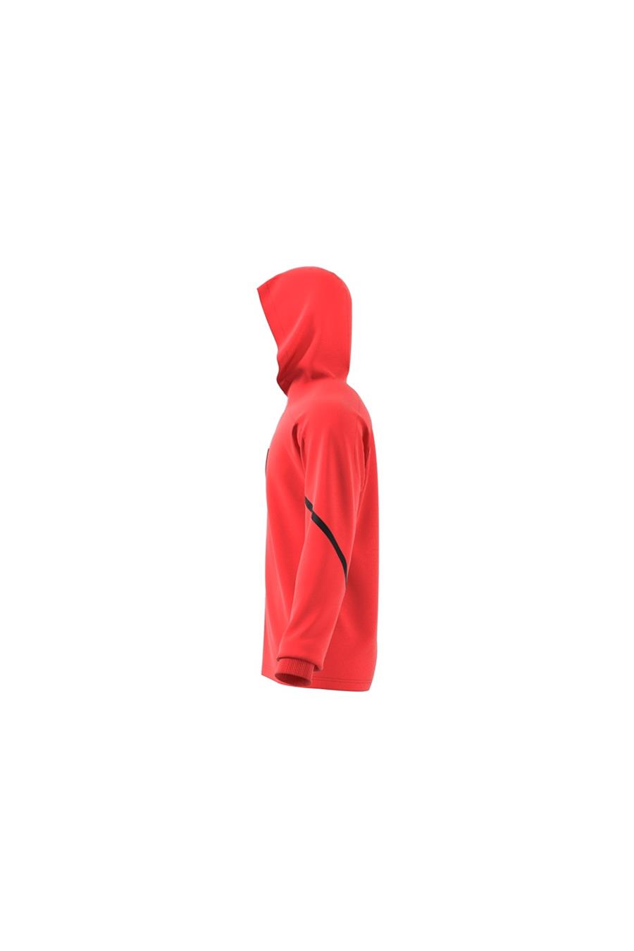 adidas Erkek Sweatshirt IC8050