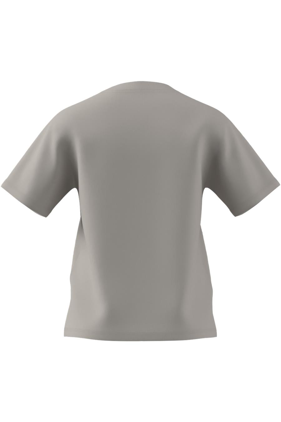 adidas Gri Kadın   T-shirt W SL SJ T JI6079