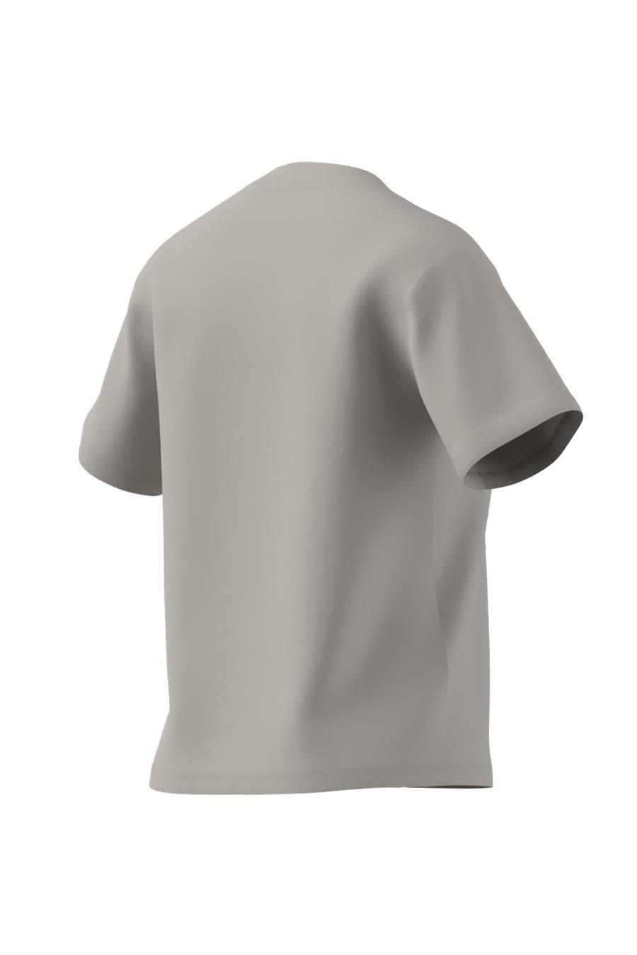 adidas Gri Kadın   T-shirt W SL SJ T JI6079