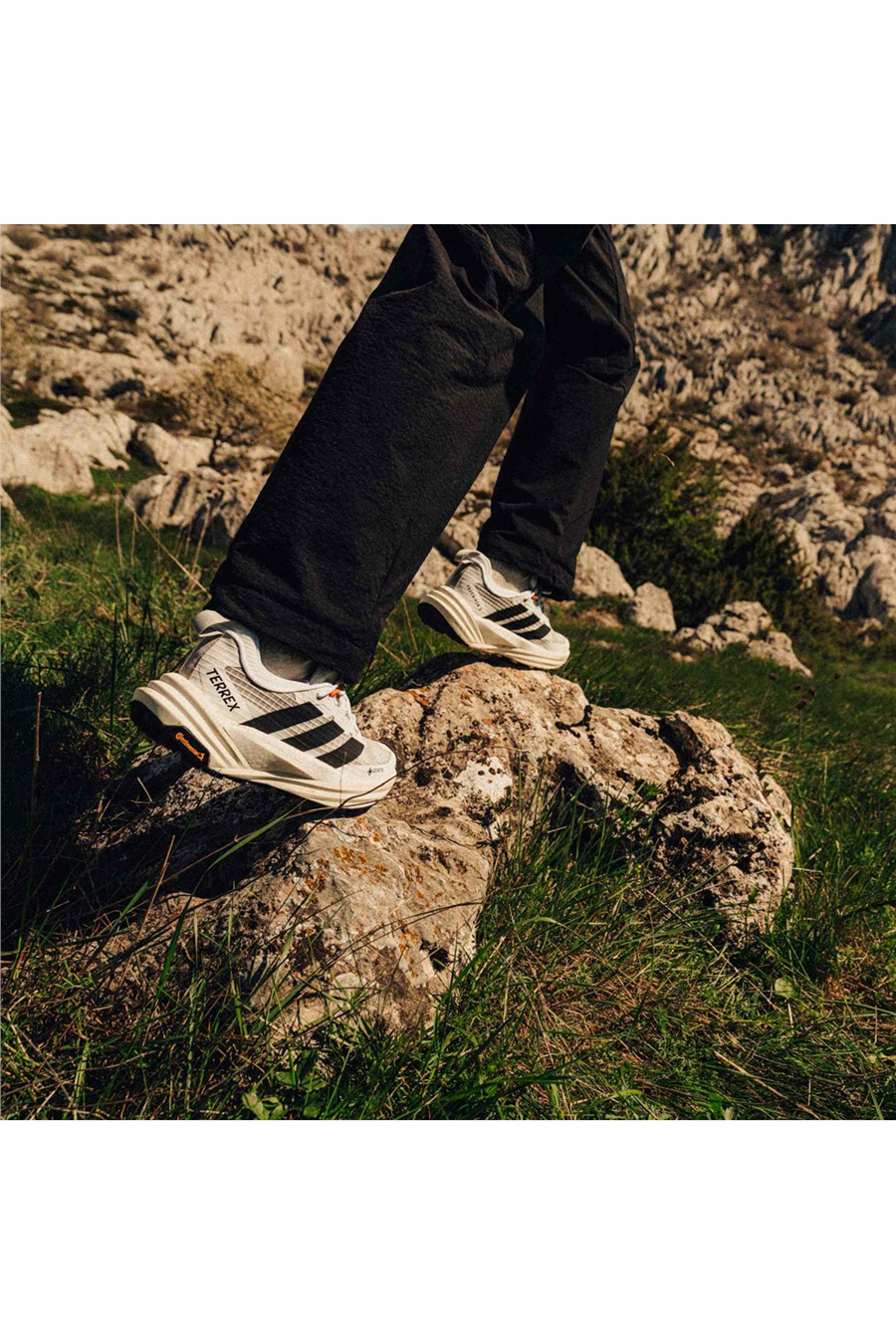 adidas Kadın Bot TERREX FREEHIKER 3 LOW GTX W KI8279