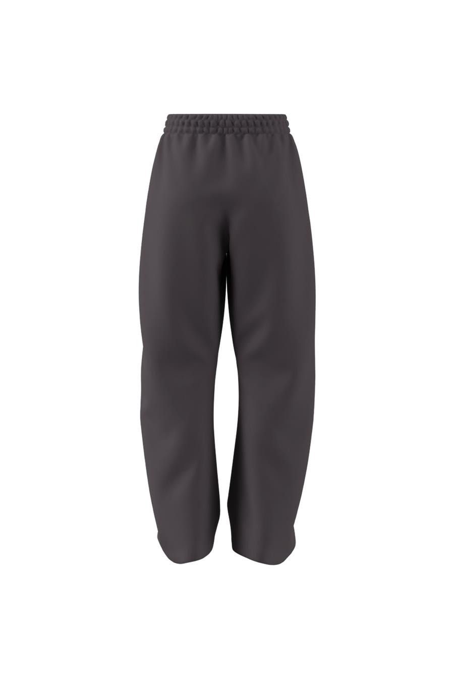 adidas Kadın  Çok renkli  Eşofman Altı W Z.N.E. BAR PT JC5411