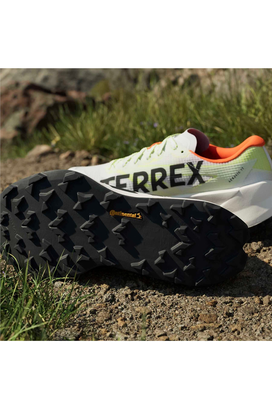 adidas Kadın Koşu Ayakkabısı TERREX AGRAVIC TT W HP7013