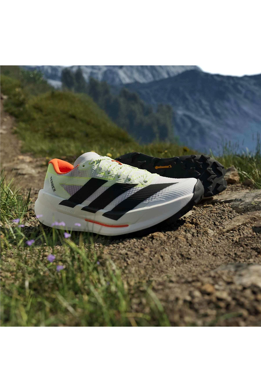 adidas Kadın Koşu Ayakkabısı TERREX AGRAVIC TT W HP7013