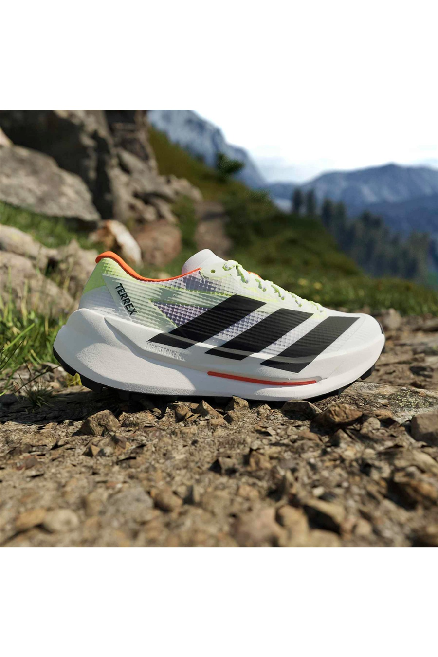 adidas Kadın Koşu Ayakkabısı TERREX AGRAVIC TT W HP7013