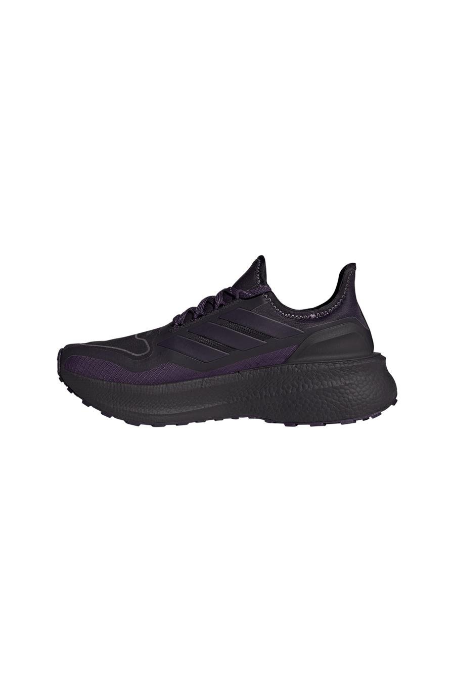adidas Kadın  Mor  Koşu Ayakkabısı ULTRABOOST 5 GTX W JQ2955