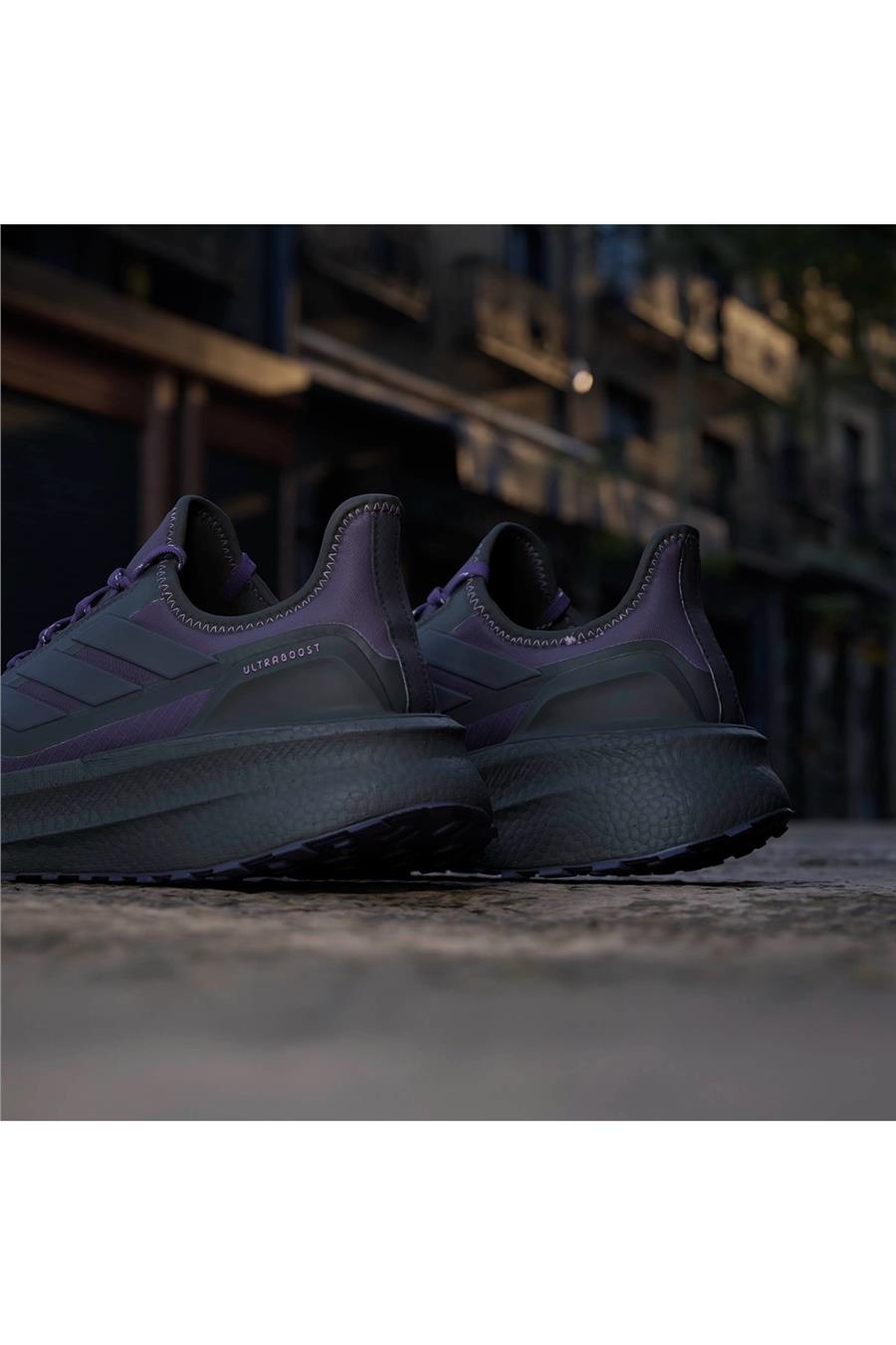 adidas Kadın  Mor  Koşu Ayakkabısı ULTRABOOST 5 GTX W JQ2955