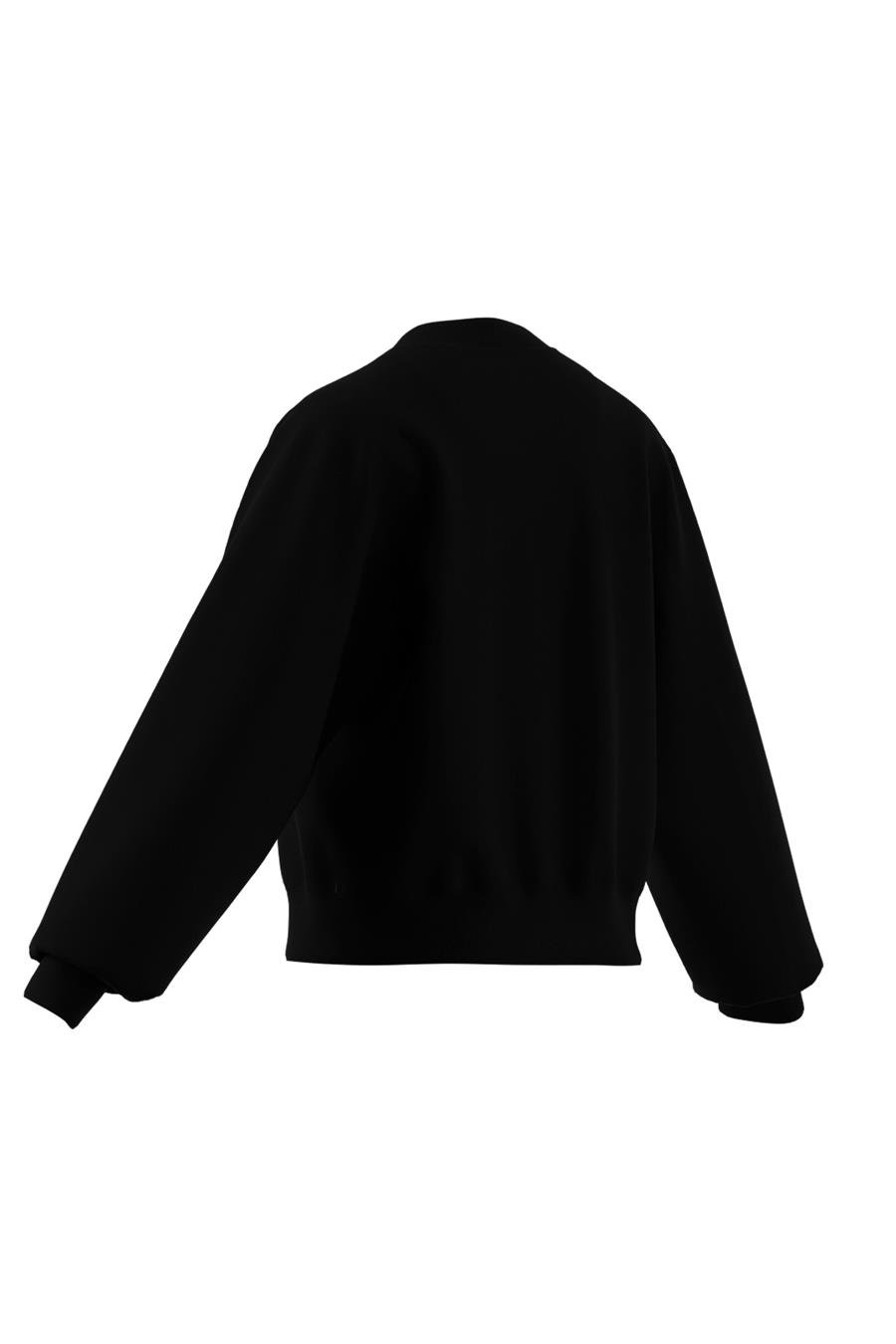 adidas Kadın   Sweatshirt aSMC REG SW SH JJ0150