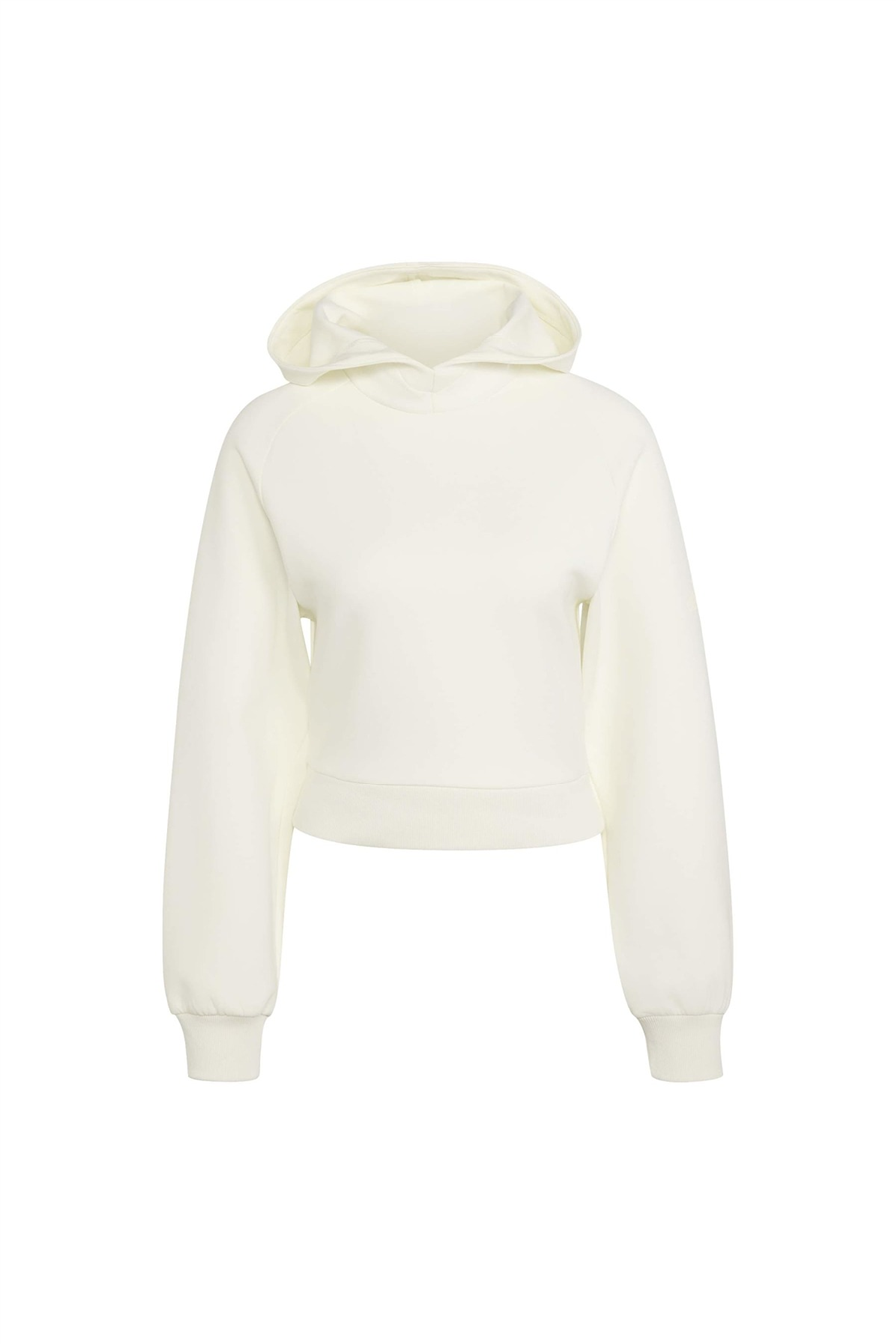 adidas Kadın Sweatshirt W SL HD KF4715