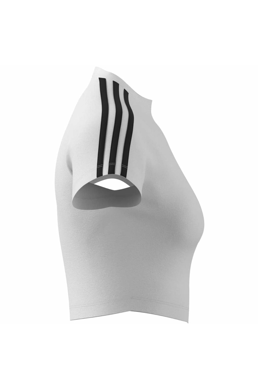 adidas Kadın T-shirt SST BABY TEE KG3699