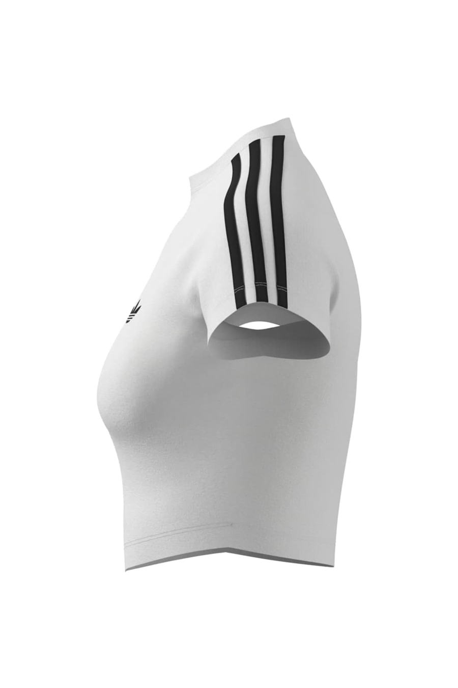 adidas Kadın T-shirt SST BABY TEE KG3699