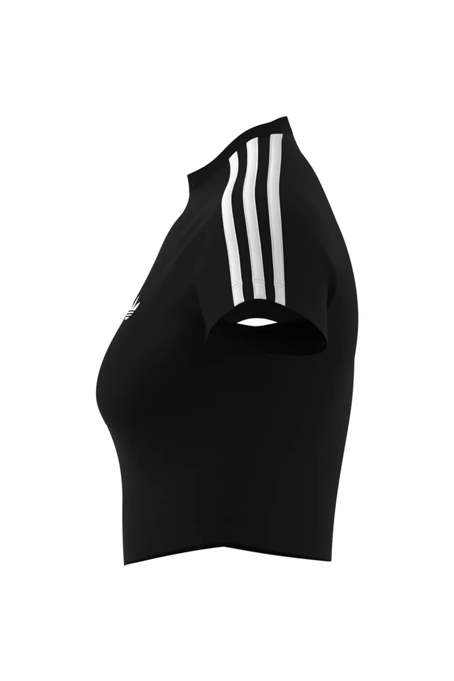 adidas Kadın T-shirt SST BABY TEE KG3700