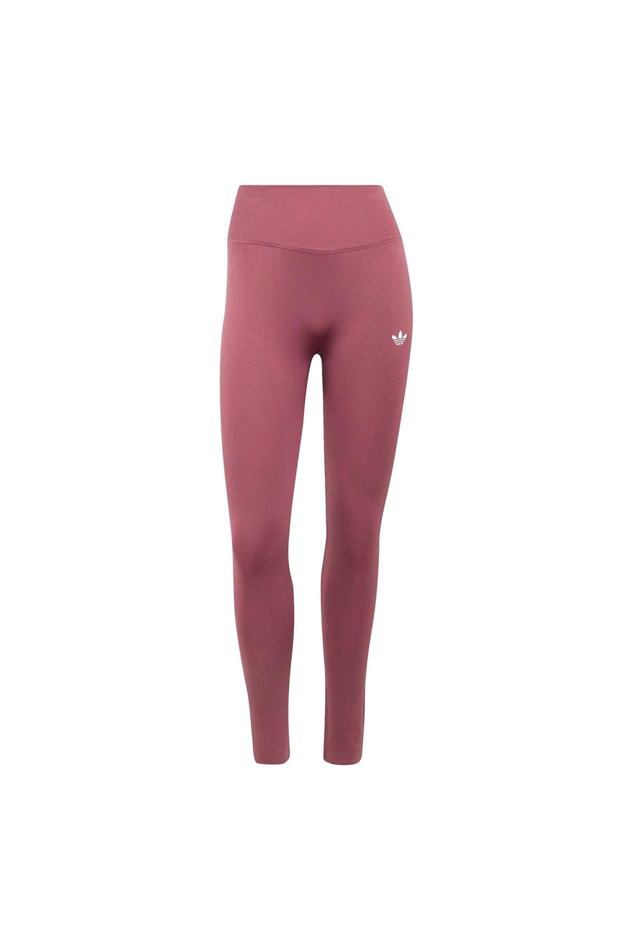 adidas Kadın Tayt SEAMLESS TIGHT IA4409
