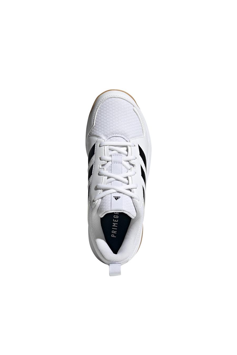 adidas Ligra 7 W Kadın   Voleybol Ayakkabısı FZ4660