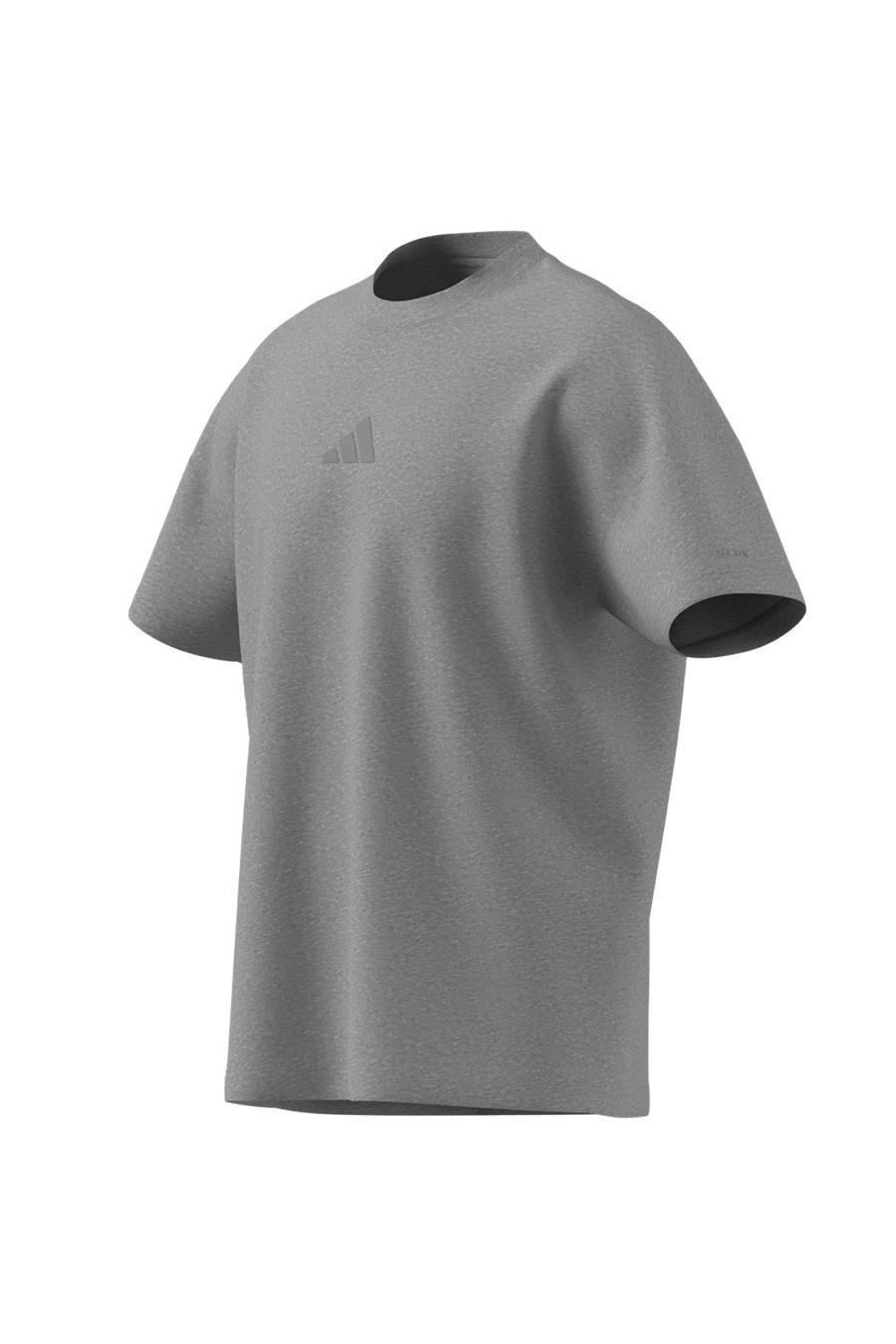 adidas M A SZN T Erkek   T-shirt IY4138