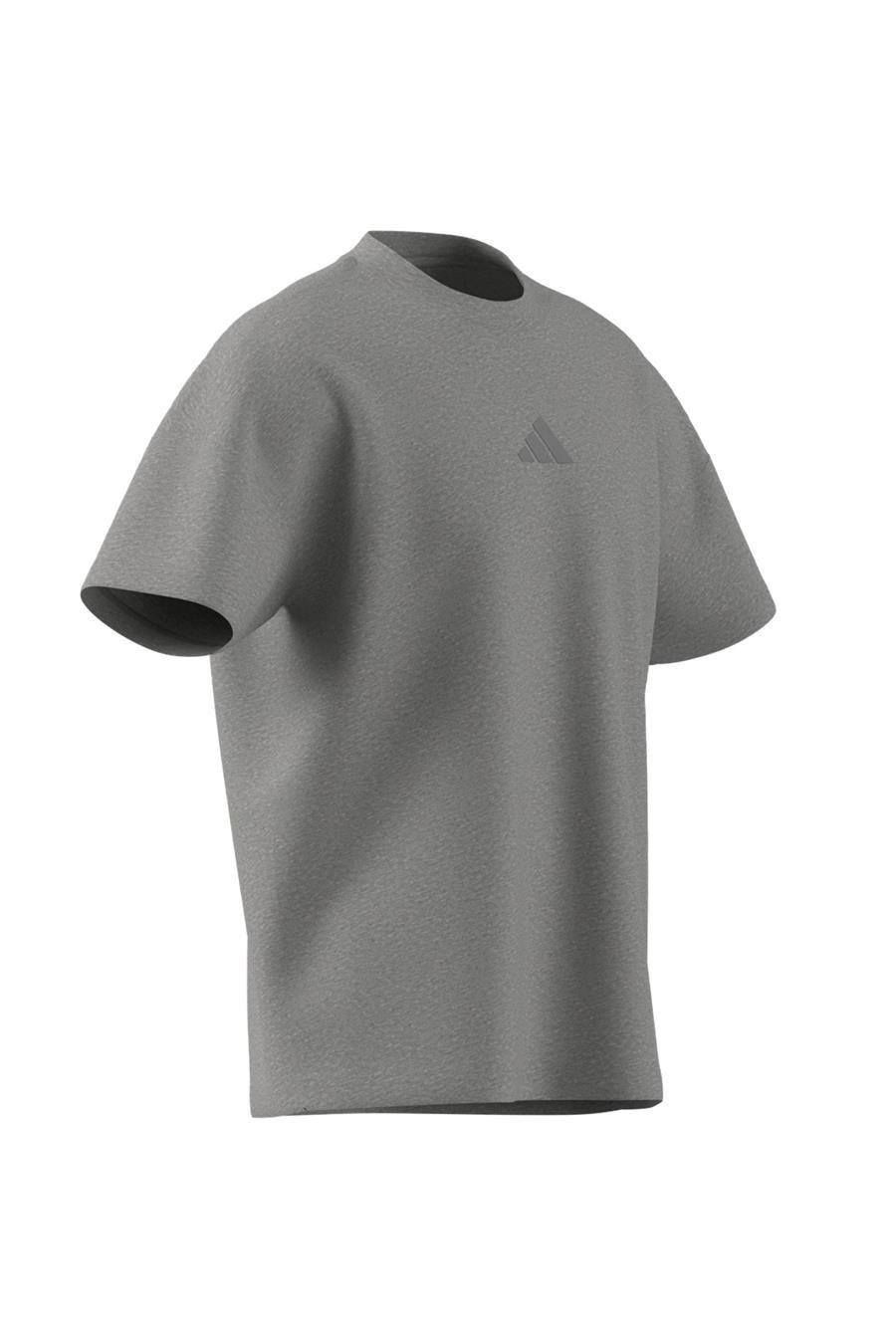 adidas M A SZN T Erkek   T-shirt IY4138