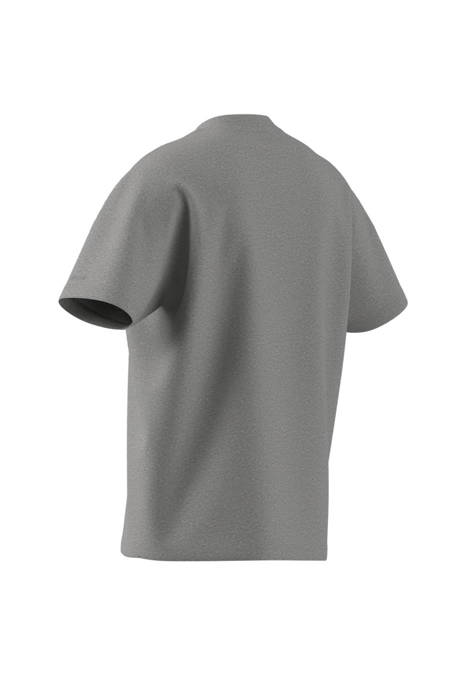 adidas M A SZN T Erkek   T-shirt IY4138