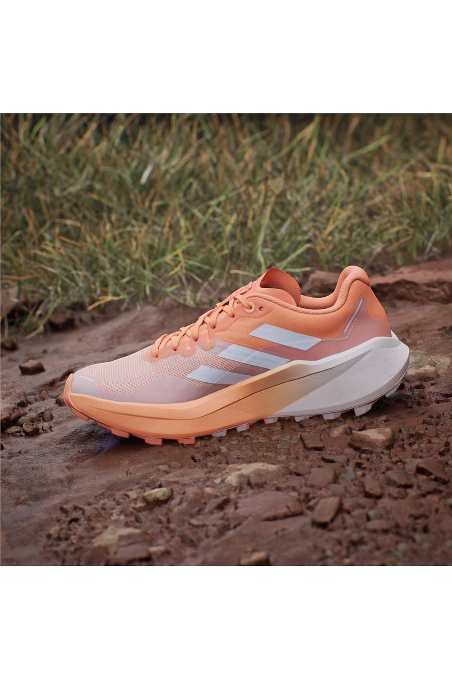 adidas TERREX AGRAVIC 3 W Kadın   Bot IG6582