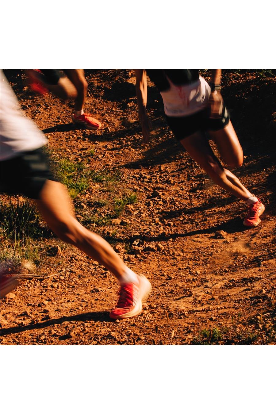 adidas TERREX AGRAVIC SPEED ULTRA Spor Ayakkabı IF6594