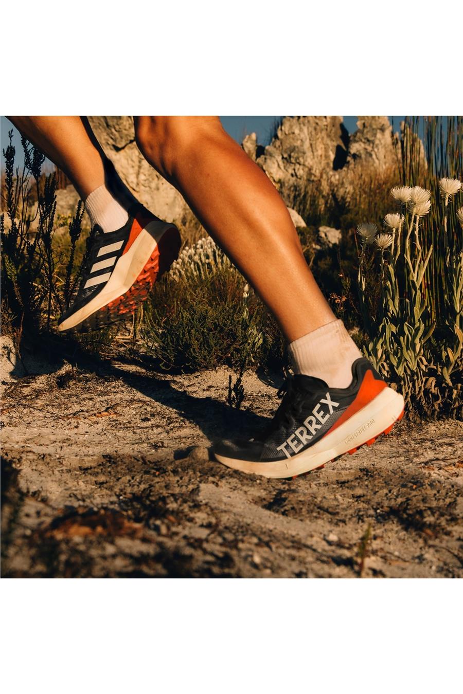 adidas TERREX AGRAVIC SPEED W Kadın   Bot IE7671