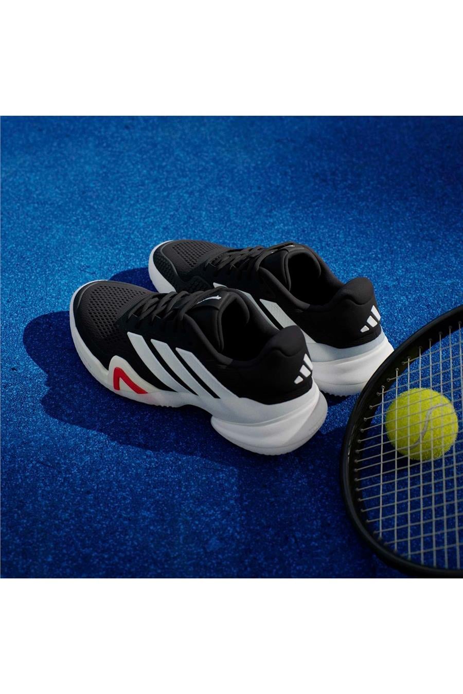 Tenis Ayakkabısı