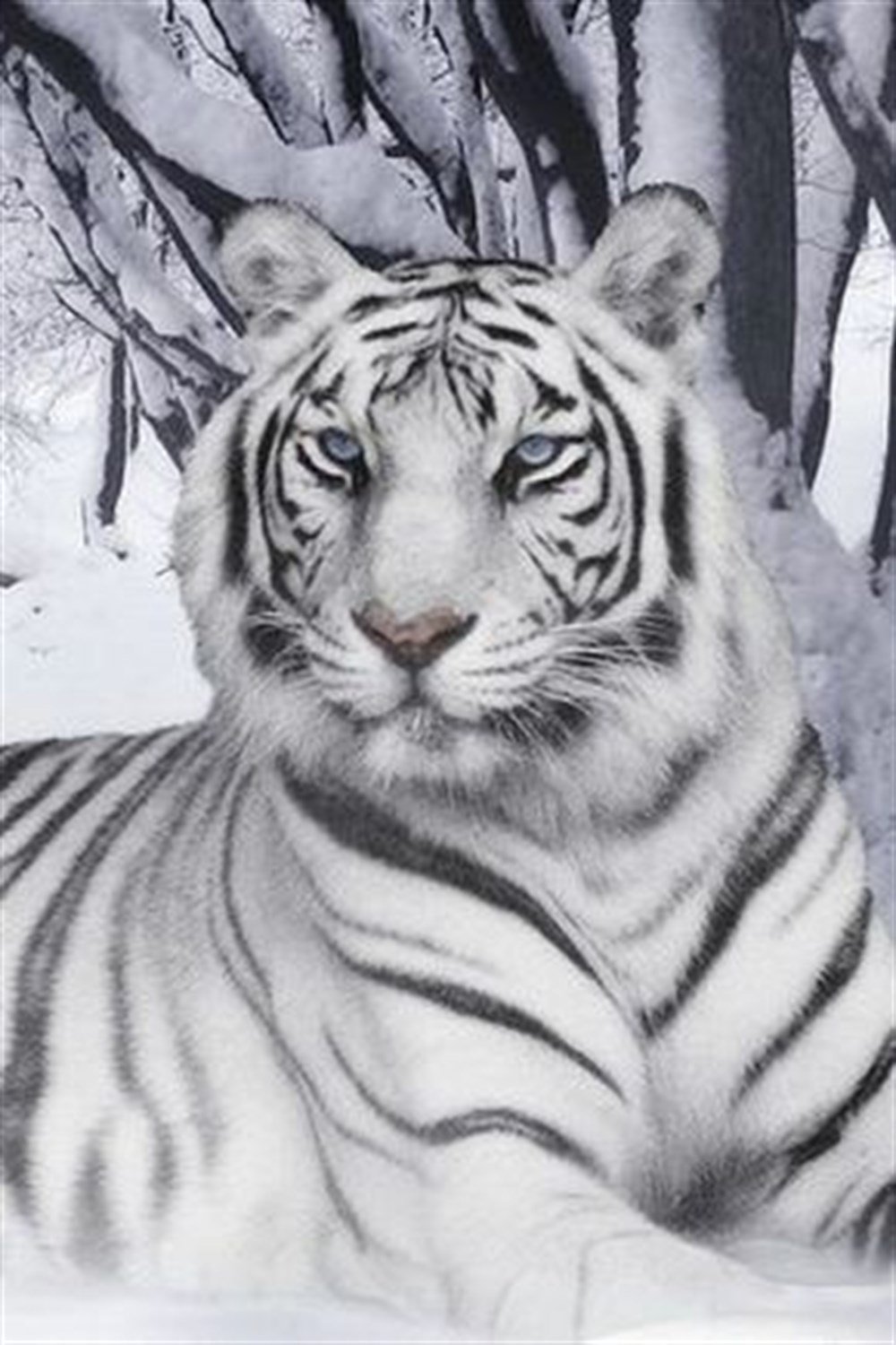 Beyaz Kaplan Elmas Mozaik Tablo 33x51cm