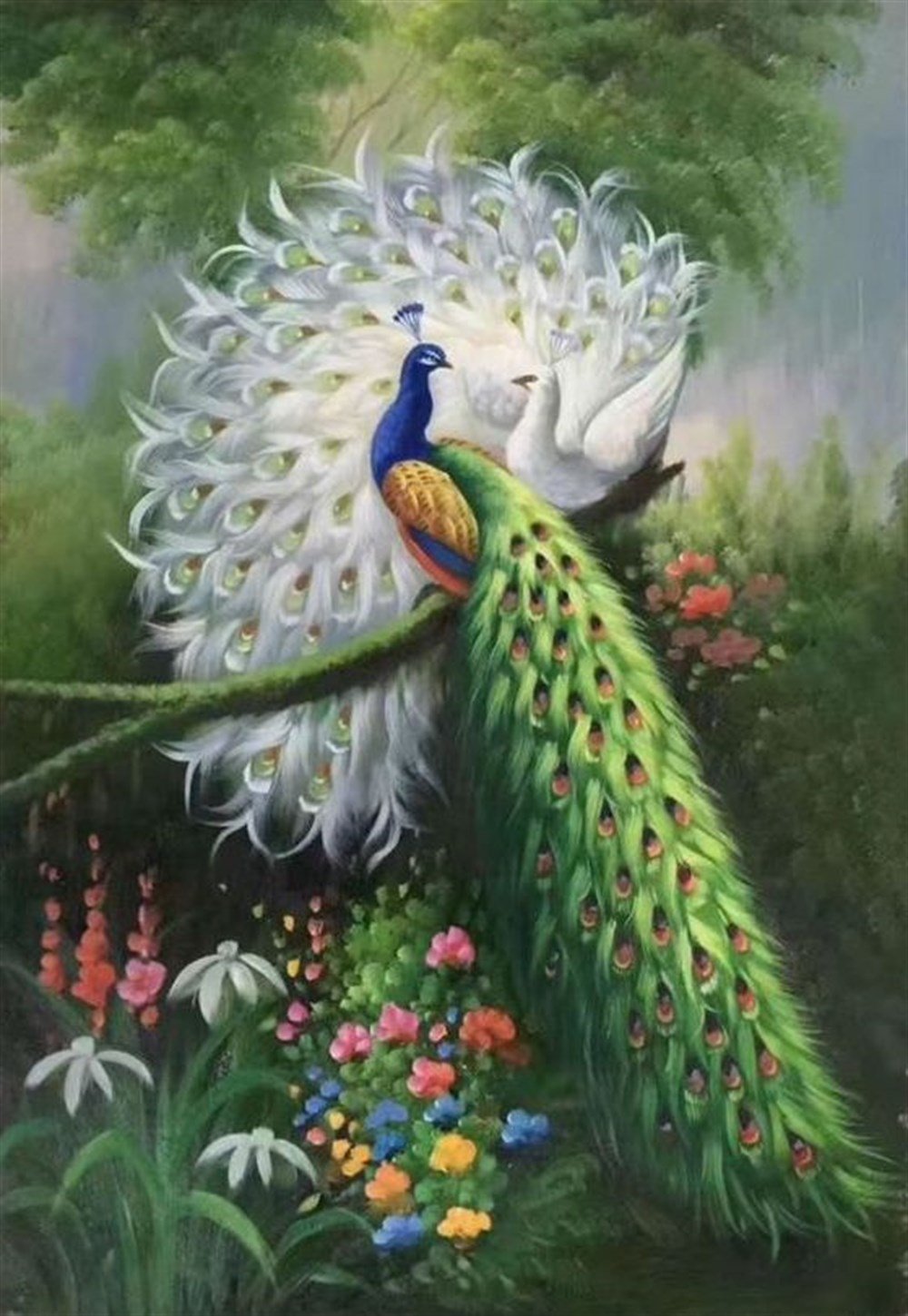 CANLIMarcel Sanat Elmas Mozaik Tablo & Diamond Painting TurkeyM20174273Yeşil Beyaz Tavuskuşları Marcel Sanat Elmas Mozaik Tablo 53x79cm