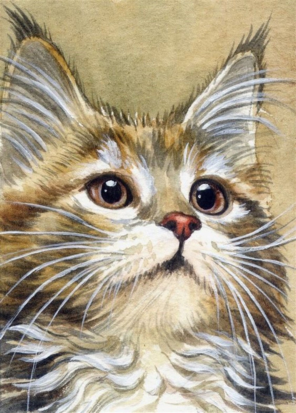 CANLIMarcel Sanat Elmas Mozaik Tablo & Diamond Painting TurkeyM20176675Güzel Kedi Marcel Sanat Elmas Mozaik Tablo 36x51cm