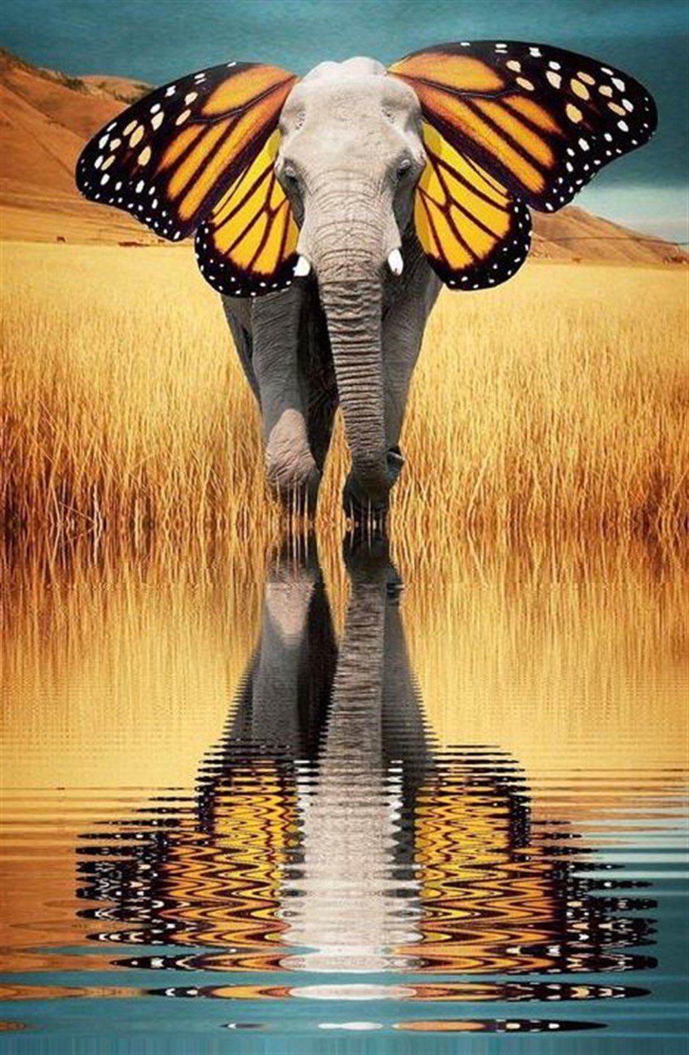 CANLIMarcel Sanat Elmas Mozaik Tablo & Diamond Painting TurkeyM20176048Kelebek Kulaklı Fil Marcel Sanat Elmas Mozaik Tablo 58x89cm