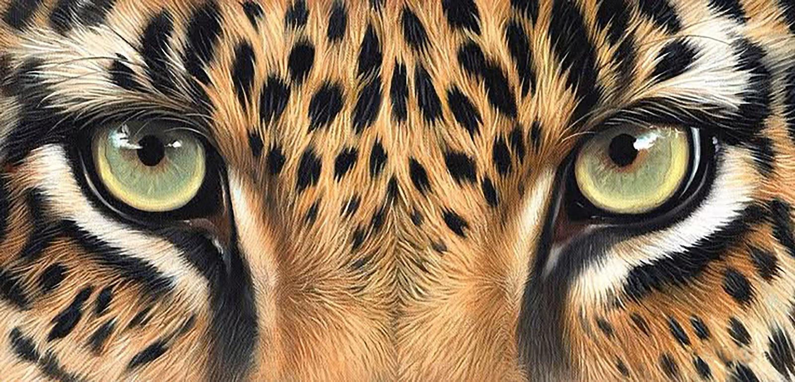 CANLIMarcel Sanat Elmas Mozaik Tablo & Diamond Painting TurkeyM202505Gözler-70x33,5cm Marcel Sanat Elmas Mozaik Tablo