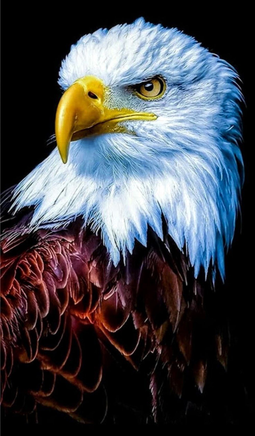 Elmas Mozaik Tablo 36X51 M20170878